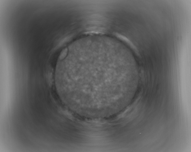 X0000113121399200910091127