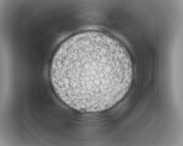 X0000113121404200910091128