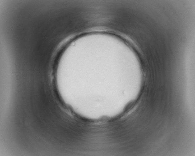 X0000113121406200910091128