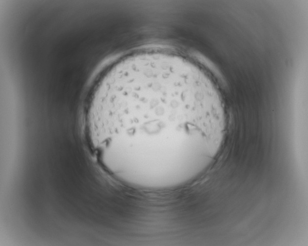 X0000113121408200910091128