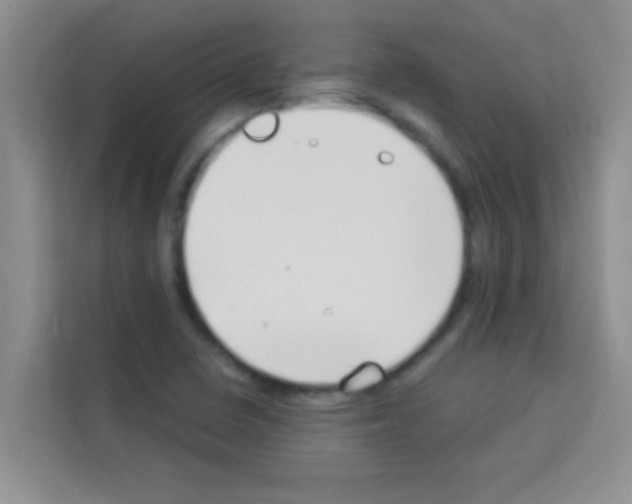 X0000113121410200910091128