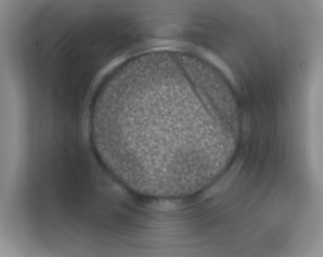 X0000113121411200910091128