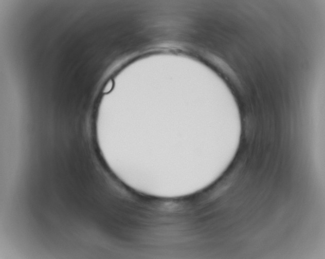 X0000113121412200910091128