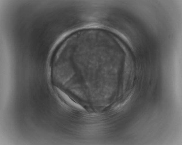 X0000113121414200910091128