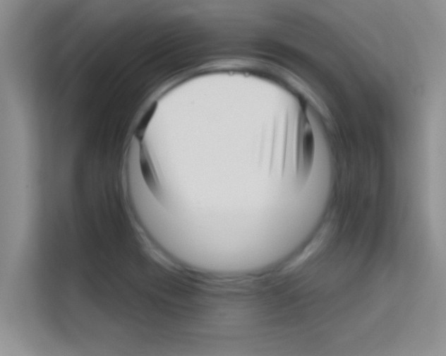 X0000113121417200910091128