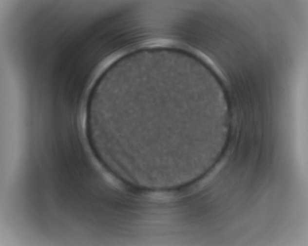 X0000113121418200910091128