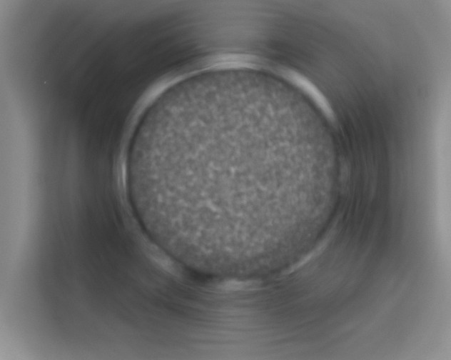 X0000113121419200910091128