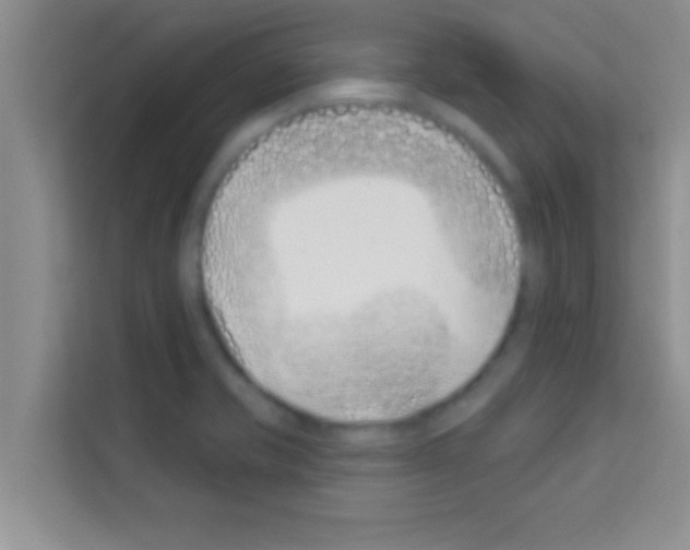 X0000113121421200910091128