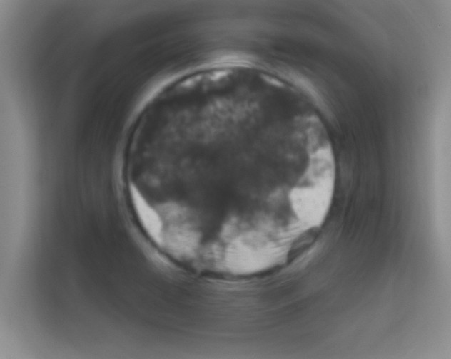 X0000113121422200910091128
