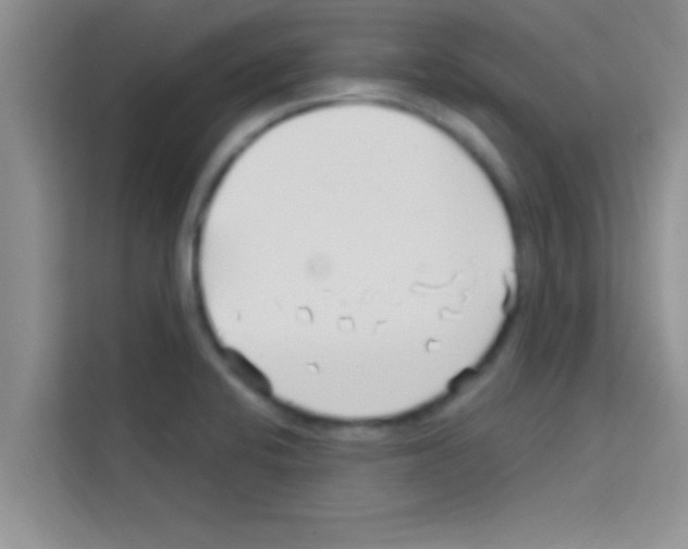 X0000113121424200910091128