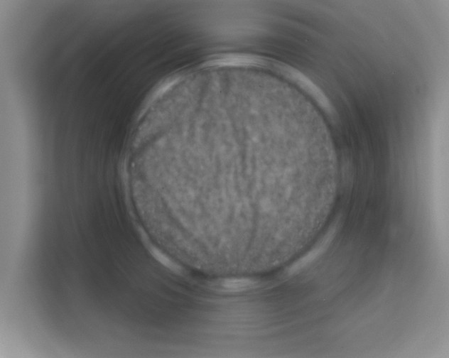 X0000113121425200910091128