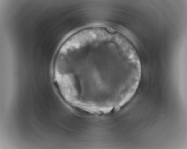 X0000113121428200910091128