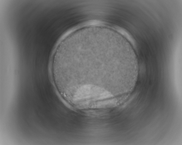 X0000113121429200910091128