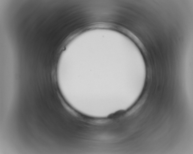 X0000113121433200910091128