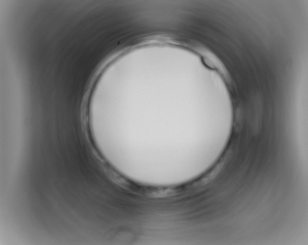 X0000113121435200910091128