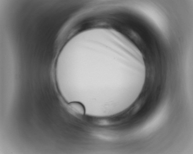 X0000113121439200910091128