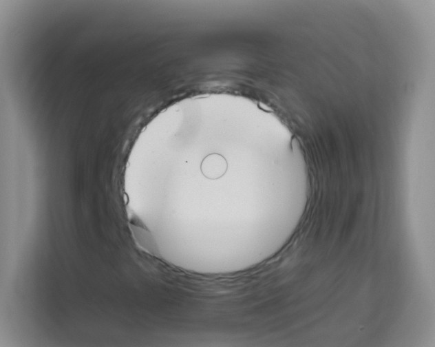 X0000113121441200910091127