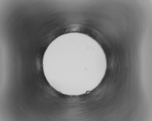 X0000113121442200910091127
