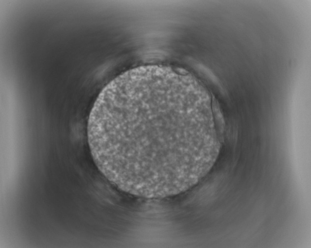 X0000113121445200910091127