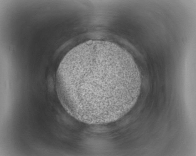 X0000113121446200910091127