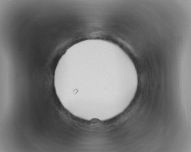 X0000113121447200910091127