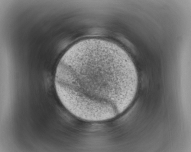 X0000113121449200910091127
