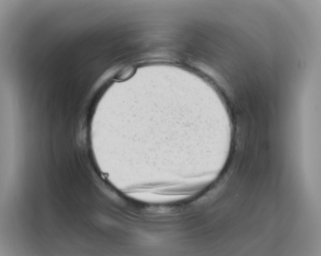X0000113121450200910091127