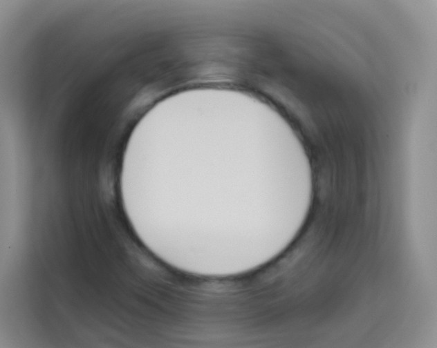 X0000113121451200910091127