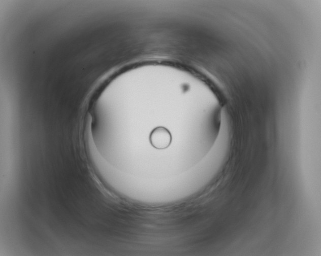 X0000113121452200910091127