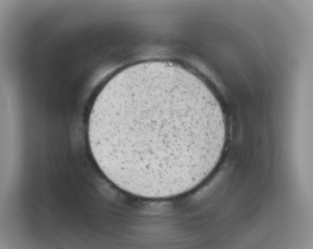 X0000113121453200910091127