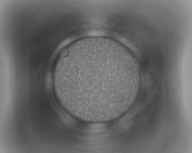 X0000113121454200910091127