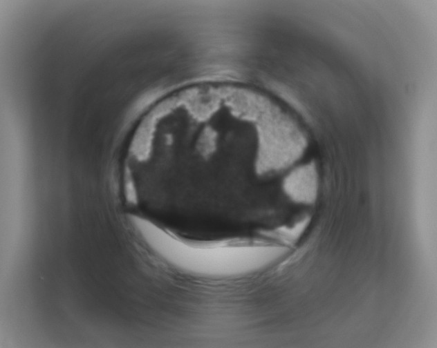 X0000113121455200910091127