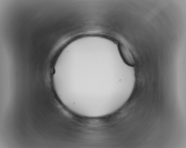 X0000113121456200910091127