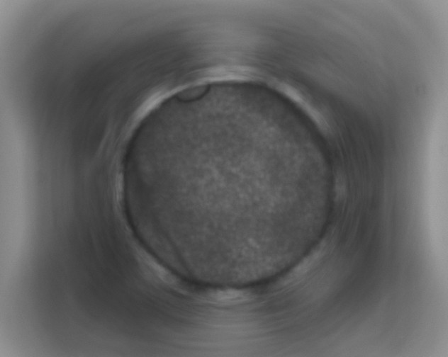 X0000113121459200910091127