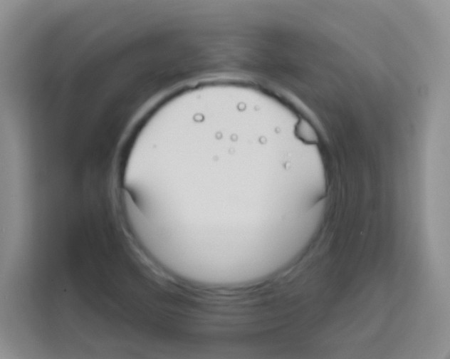 X0000113121460200910091127
