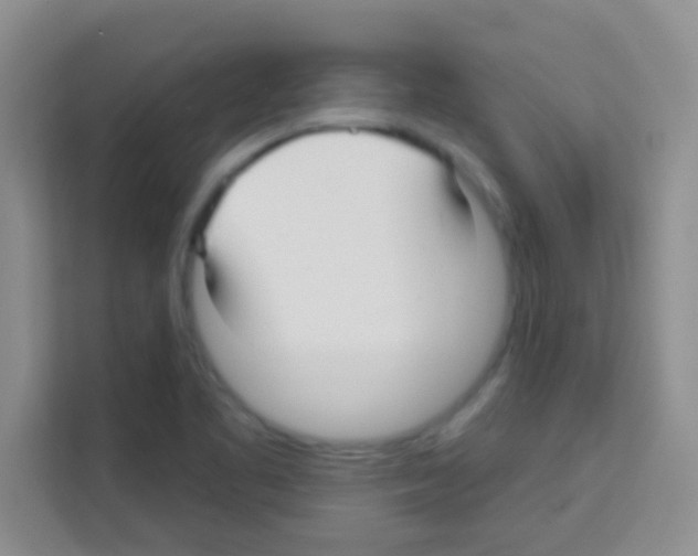 X0000113121461200910091127