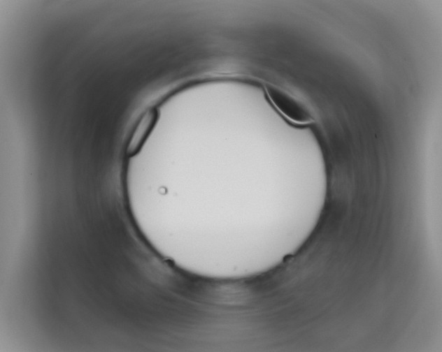 X0000113121464200910091127
