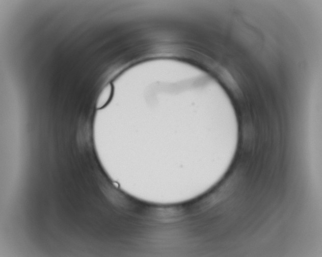 X0000113121465200910091127