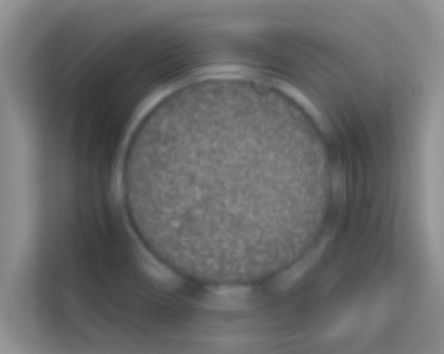 X0000113121466200910091127