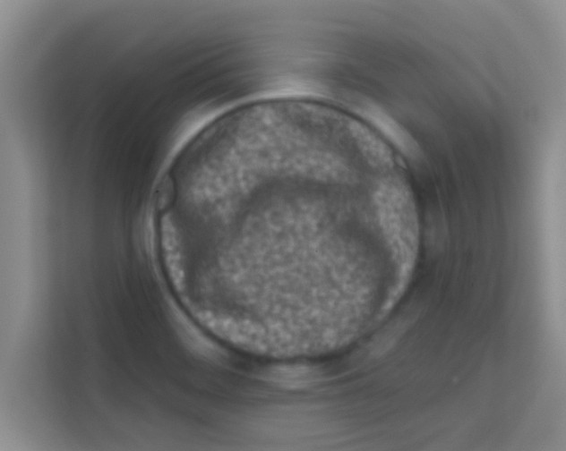X0000113121468200910091127