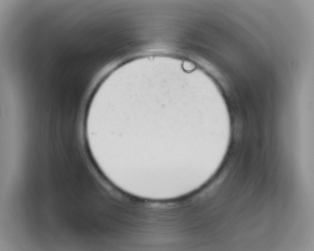 X0000113121469200910091127