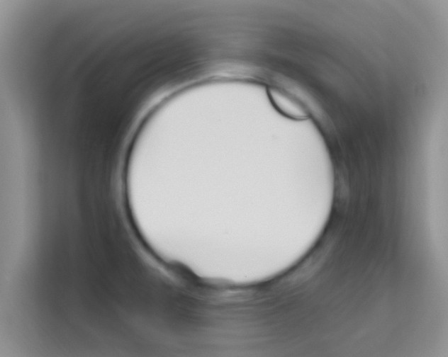 X0000113121471200910091127