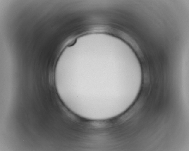 X0000113121473200910091127