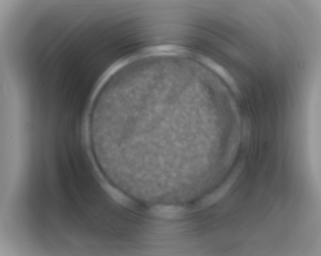 X0000113121474200910091127