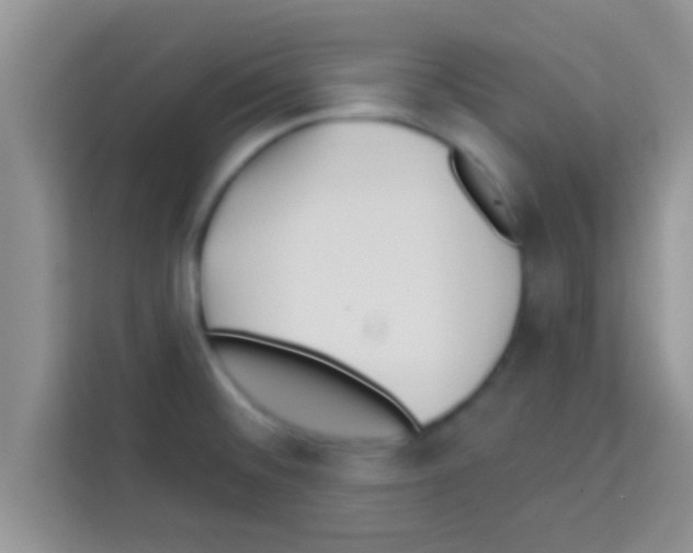 X0000113121476200910091127