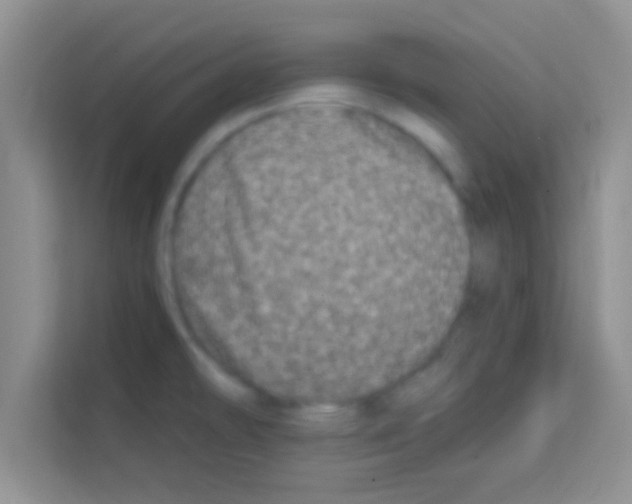 X0000113121478200910091127