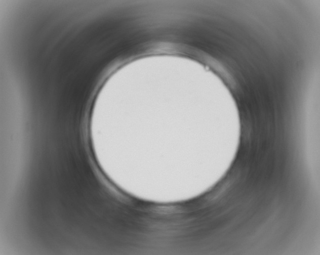 X0000113121479200910091127