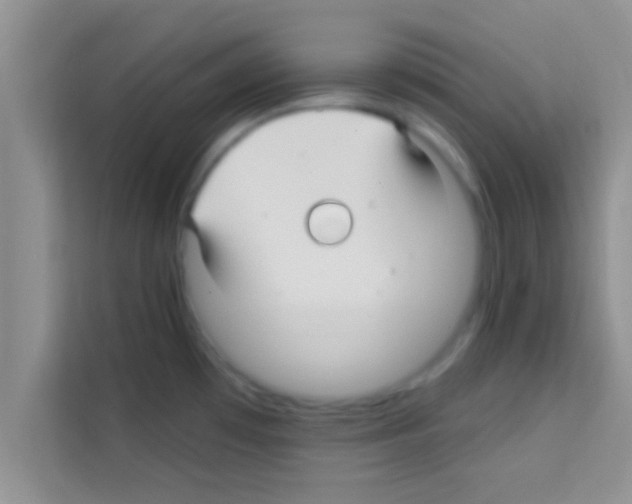 X0000113121481200910091127
