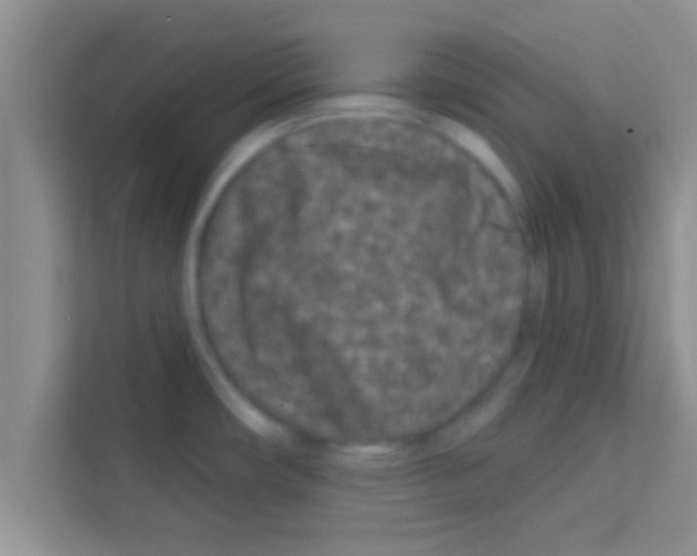 X0000113121482200910091127