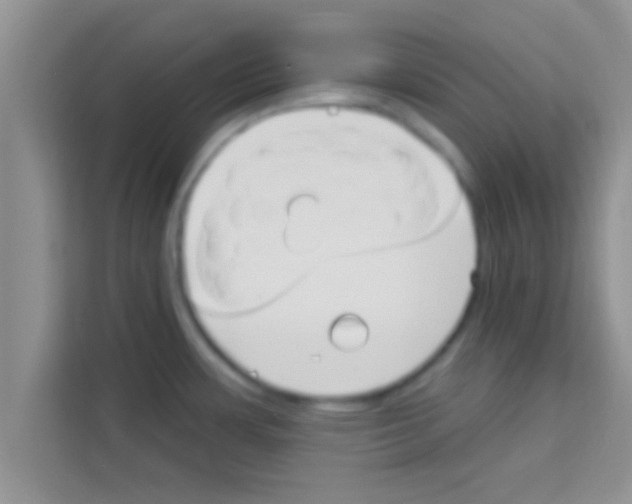 X0000113121483200910091127